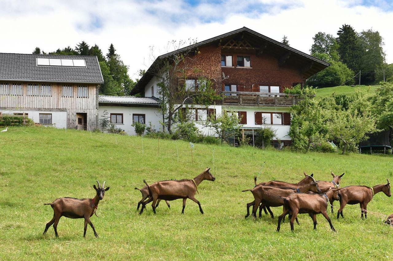 Ferien in Feld 109 Appartement Langenegg Buitenkant foto